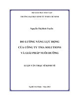 Luận văn thạc sĩ Đo lường năng lực động của Công ty TMA Solutions và giải pháp nuôi dưỡng