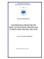 Luận văn thạc sĩ  Giải pháp hạn chế rủi ro tín dụng tại Ngân hàng TMCP Công thương Việt Nam