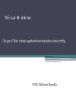 Tiểu luận tin sinh học Câu gen cố định nitơ của agrobacterium fumeciens cho cây trồng