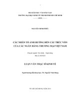 Các nhân tố ảnh hưởng đến cấu trúc vốn của các ngân hàng thương mại Việt Nam