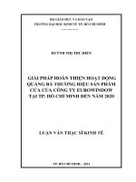 Luận văn Giải pháp hoàn thiện hoạt động quảng bá thương hiệu sản phẩm cửa của công ty EUROWINDOW tại thành phố Hồ Chí Minh đến năm 2020