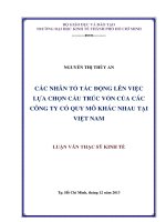 Luận văn thạc sĩ  Các nhân tố tác động lên việc lựa chọn cấu trúc vốn của các Công ty có quy mô khác nhau tại Việt Nam