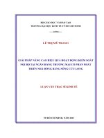 Luận văn Giải pháp nâng cao hiệu quả hoạt động kiểm soát nội bộ tại ngân hàng TMCP phát triển nhà ĐBSCL