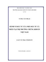 Luận văn Hành vi đầu tư của nhà đầu tư cá nhân tại thị trường chứng khoán Việt Nam