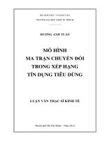 Luận văn Thạc sĩ Mô hình ma trận chuyển đổi trong xếp hạng tín dụng tiêu dùng