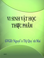 vi sinh vật học thực phẩm