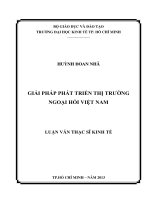 Luận văn thạc sĩ Giải pháp phát triển thị trường ngoại hối Việt Nam