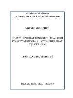 Luận văn thạc sĩ Hoàn thiện hoạt động kênh phân phối công ty nước giải khát Tân Hiệp Phát tại Việt Nam