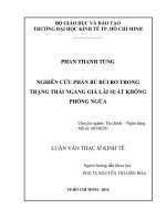 Nghiên cứu phần bù rủi ro trong trạng thái ngang giá lãi suất không phòng ngừa