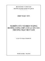 Luận văn Thạc sĩ Nghiên cứu về hiện tượng đường cong chữ J của cán cân thương mại Việt Nam