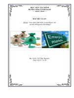 Tiểu luận các nước phát triển có nên đầu tư vào các thị trường mới nổi không