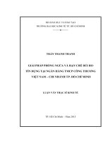 GIẢI PHÁP PHÒNG NGỪA VÀ HẠN CHẾ RỦI RO TÍN DỤNG TẠI NGÂN HÀNG TMCP CÔNG THƯƠNG VIỆT NAM - CHI NHÁNH TP. HỒ CHÍ MINH.PDF