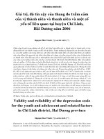 Giá trị độ tin cậy của thang đo độ trầm cảm của vị thành niên và thành niên huyện Chí Linh
