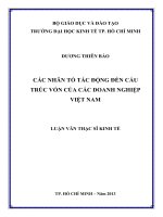 CÁC NHÂN TỐ TÁC ĐỘNG ĐẾN CẤU TRÚC VỐN CỦA CÁC DOANH NGHIỆP VIỆT NAM