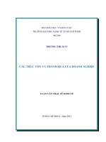 CẤU TRÚC VỐN VÀ THÀNH QUẢ CỦA DOANH NGHIỆP.PDF