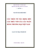 CÁC NHÂN TỐ TÁC ĐỘNG ĐẾN CẤU TRÚC VỐN CÁC NGÂN HÀNG THƯƠNG MẠI VIỆT NAM  LUẬN VĂN THẠC SĨ.PDF