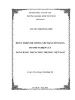 Luận văn thạc sĩ Hoàn thiện hệ thống xếp hạng tín dụng doanh nghiệp của ngân hàng TMCP công thương Việt Nam