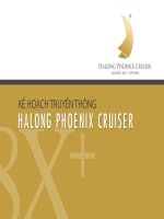 kế hoạch truyền thông halong phoenix cruiser