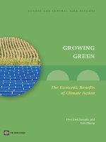 GROWING GREEN 1 - The Economic Benifits of Climate ActionĐồ