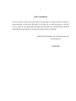 LUẬN VĂN THẠC SĨ THẨM ĐỊNH DỰ ÁN NHIỆT ĐIỆN VÂN PHONG 1