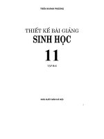 thiết kế bài giảng sinh học 11 tập 2