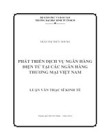 PHÁT TRIỂN DỊCH VỤ NGÂN HÀNG ĐIỆN TỬ TẠI CÁC NGÂN HÀNG THƯƠNG MẠI VIỆT NAM.PDF