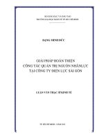 Luận văn Giải pháp hoàn thiện công tác quản trị nguồn nhân lực tại công ty điện lực Sài Gòn