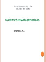 THU LIPID TỪ VI TẢO NANNOCHLOROPSIS OCULATA