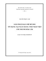 GIẢI PHÁP HẠN CHẾ RỦI RO TÍN DỤNG TẠI NGÂN HÀNG TMCP BẢO VIỆT CHI NHÁNH ĐAK LAK.PDF