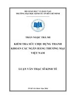 Luận văn thạc sĩ Kiểm tra sức chịu đựng thanh khoản các ngân hàng thương mại Việt Nam