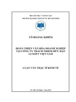 Luận văn thạc sĩ Hoàn thiện văn hóa doanh nghiệp tại công ty TNHH Luxoft Việt Nam