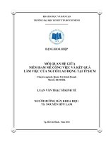 MỐI QUAN HỆ GIỮA NIỀM ĐAM MÊ CÔNG VIỆC VÀ KẾT QUẢ LÀM VIỆC CỦA NGƯỜI LAO ĐỘNG TẠI TP HỒ CHÍ MINH