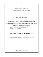 Giải pháp phát triển văn hóa doanh nghiệp tại ngân hàng TMCP Việt Nam thịnh vượng