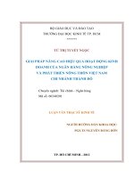 GIẢI PHÁP NÂNG CAO HIỆU QUẢ HOẠT ĐỘNG KINH DOANH CỦA NGÂN HÀNG NÔNG NGHIỆP VÀ PHÁT TRIỂN NÔNG THÔN VIỆT NAM CHI NHÁNH THÀNH ĐÔ.PDF