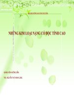 NHỮNG KIM LOẠI NẶNG CÓ ĐỘC TÍNH CAO