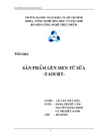 sản phẩm lên men từ sữa Yogurt