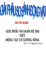GIẢI PHẪU SO SÁNH HỆ BÀI TIẾT ĐỘNG VẬT CÓ XƯƠNG SỐNG