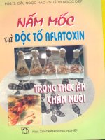 Nấm mốc và độc tố Aflatoxin trong thức ăn chăn nuôi