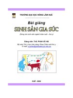 Bài giảng Sinh sản gia súc