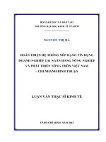 HOÀN THIỆN HỆ THỐNG XẾP HẠNG TÍN DỤNG DOANH NGHIỆP TẠI NGÂN HÀNG NÔNG NGHIỆP VÀ PHÁT TRIỂN NÔNG THÔN VIỆT NAM CHI NHÁNH BÌNH THUẬN.PDF