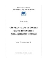 Các nhân tố ảnh hưởng đến giá trị thương hiệu Zuellig Pharma Việt Nam