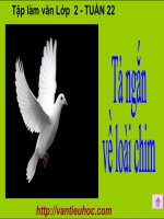 TẬP LÀM VĂN LỚP 2 - TẢ NGẮN VỀ LOÀI CHIM