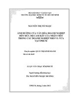 Luận văn thạc sĩ  Ảnh hưởng của văn hóa doanh nghiệp đến mức độ cam kết của nhân viên trong các doanh nghiệp nhỏ và vừa tại TP  Hồ Chí Minh