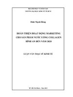 Hoàn thiện hoạt động Marketing cho sản phẩm nước uống Collagen Bình An đến năm 2020