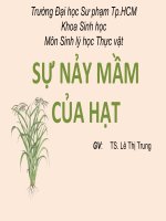 sự nảy mầm của hạt
