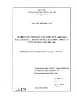 Nghiên cứu tinh dầu cây chổi xuể (baeckea frutescensl ,họ sim myrtaceae)mọc hoang ở vùng núi sóc sơn, hà nội