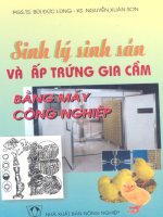 Sinh lý sinh sản và ấp trứng gia cầm bằng máy công nghiệp