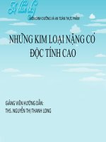 NHỮNG KIM LOẠI NẶNG CÓ ĐỘC TÍNH CAO