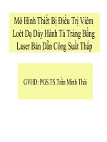 Mô Hình Thiết Bị Điều Trị Viêm Loét Dạ Dày Hành Tá Tràng Bằng Laser Bán Dẫn Công Suất Thấp