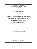GIẢI PHÁP NÂNG CAO HIỆU QUẢ HOẠT ĐỘNG TÍN DỤNG NGÂN HÀNG TRONG LĨNH VỰC NÔNG NGHIỆP, NÔNG THÔN TRÊN ĐỊA BÀN TPHCM.PDF